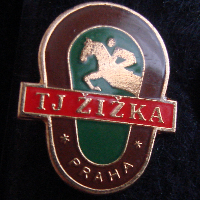 Zizka D